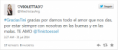 /album/fotogaleria/f-png/